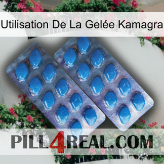 Utilisation De La Gelée Kamagra viagra2